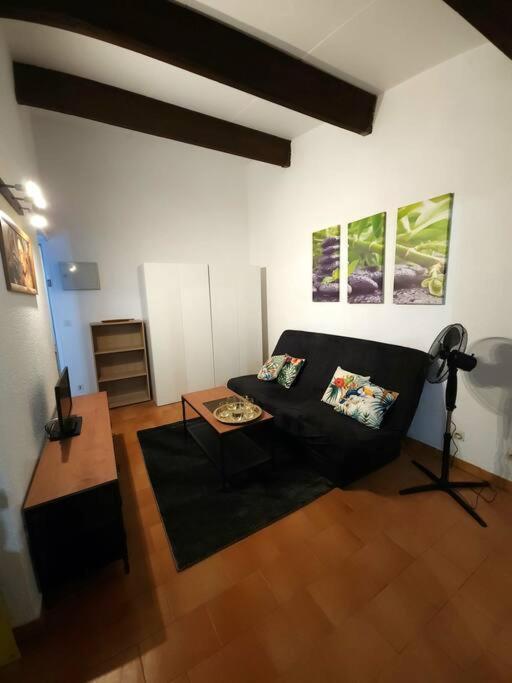 A 8 Mn A Pied Des Plages Appartement Avec Piscine Et Tennis Argelès-sur-Mer Kültér fotó
